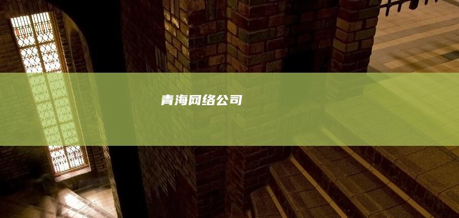 青海网络公司