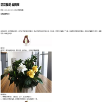花花我爱（养花精选10篇）-麦田屋