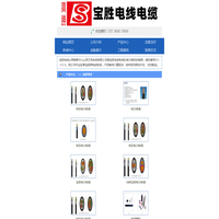 宝胜电缆-山西艾克电缆有限公司