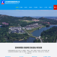 山东潍焦控股集团有限公司
