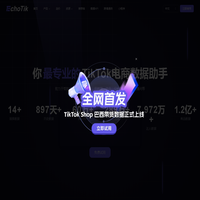 TikTok 短视频直播电商数据分析平台_EchoTik
