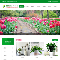 网红南京绿植租赁_花卉出租_办公室租花_植物租摆推荐南京千花汇园艺有限公司
