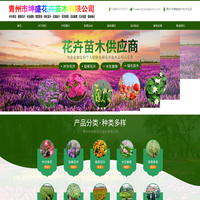 宿根花卉,山东草花,草花批发,花海设计-青州市坤盛花卉苗木有限公司