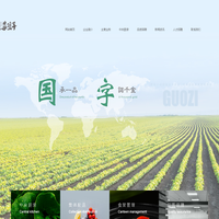 国字菜篮子